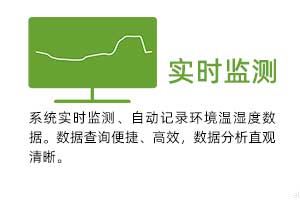 實(shí)時監(jiān)測：系統(tǒng)實(shí)時監(jiān)測、自動記錄環(huán)境溫濕度數(shù)據(jù)。 數(shù)據(jù)查詢便捷、高效，數(shù)據(jù)分析直觀清晰。